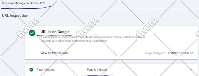 fix 404 broken links, indexing and canonical issues