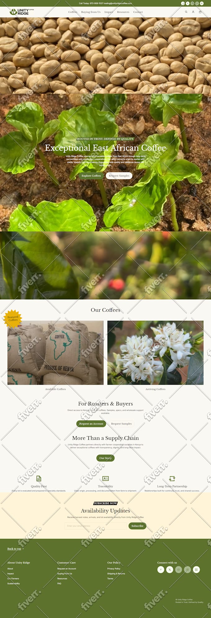 develop shopify website, shopify store design
