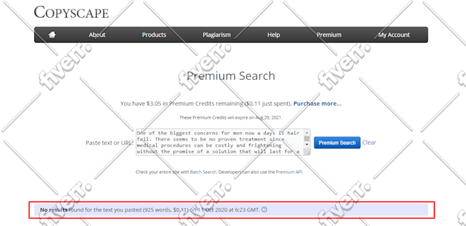 write SEO optimized technical articles and blogs