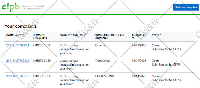 create professional credit dispute letter
