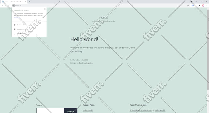 setup fast wordpress website on vps server