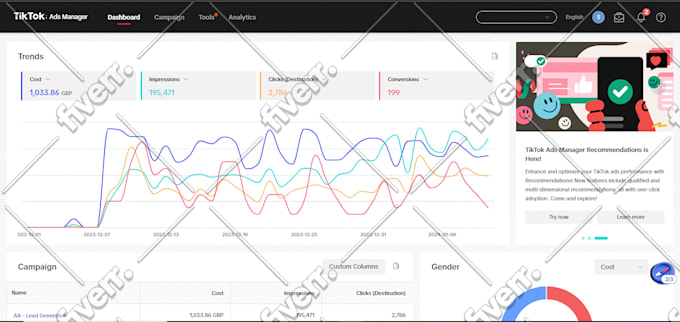 run meta ads campaigns and optimize facebook instagram advertising