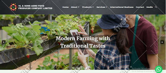 design pro business website and personal blog
