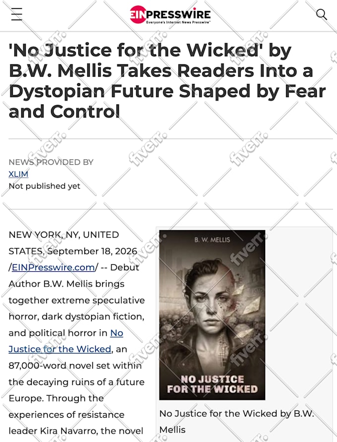 do book promotion by publish interview or review on 3 blogs