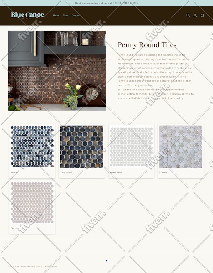 design shopify store shopify website dropshipping website