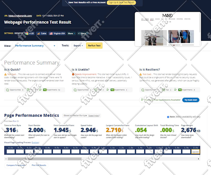 design and develop a custom wordpress website with high performance and SEO