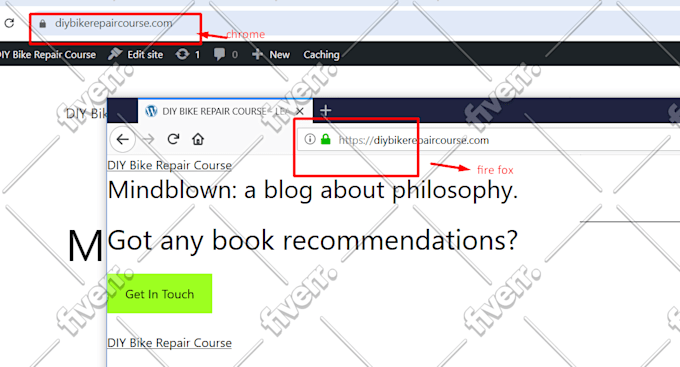 fix wordpress or woocommerce any issue