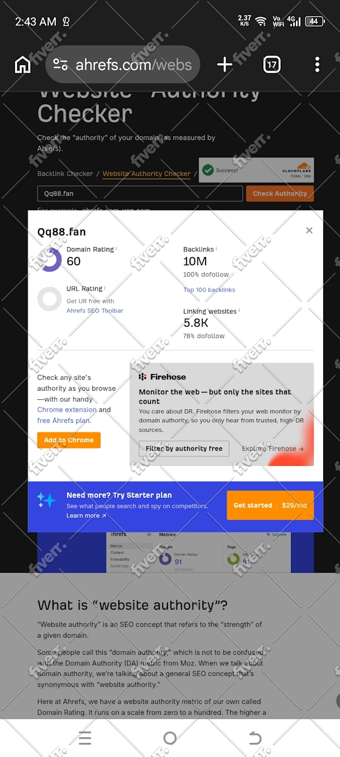boost domain rating DR 50 plus