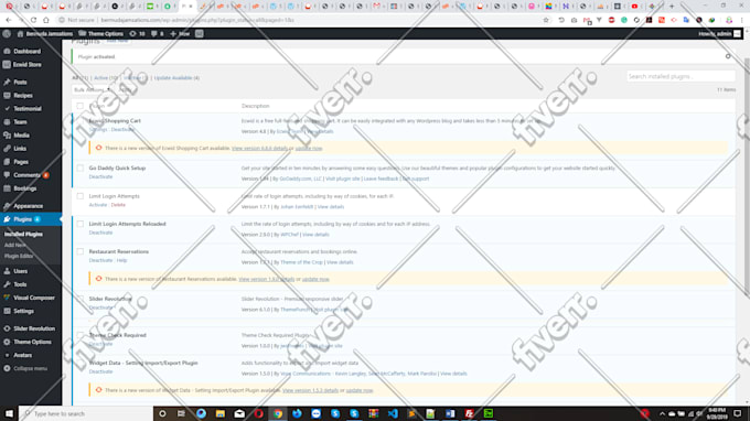 be your custom wordpress developer