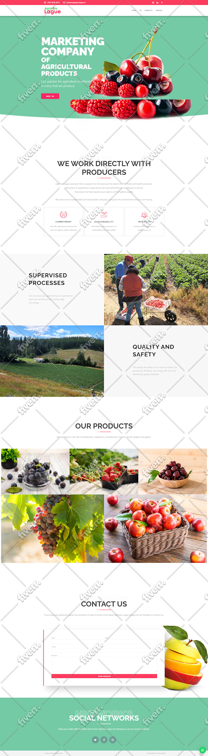 design, redesign, clone wordpress website with elementor pro