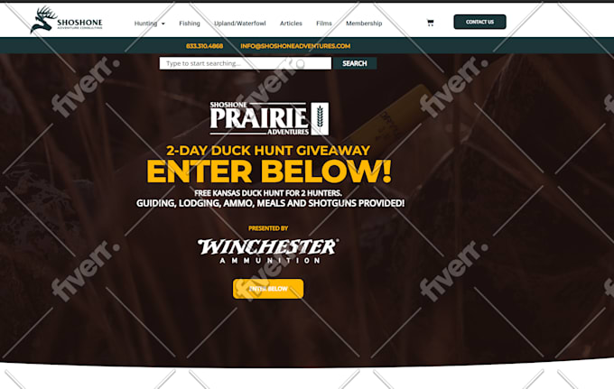 fix wordpress issues errors bugs and woocommerce fix