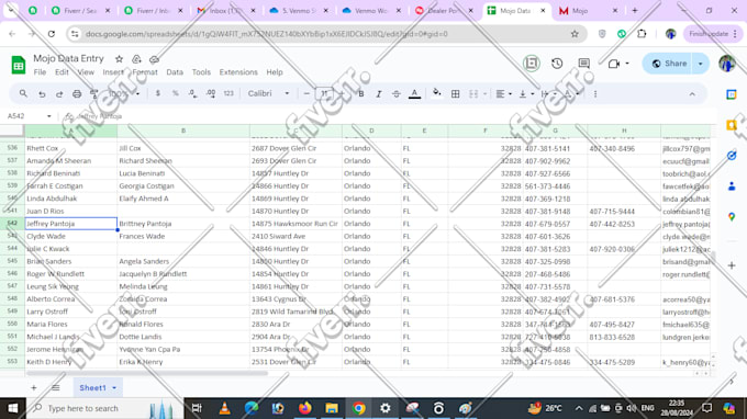 do data entry, copy paste, typing, pdf to excel, lead generation, web scraping