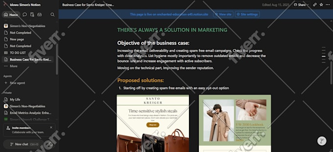 be your notion expert for notion template design and notion dashboard