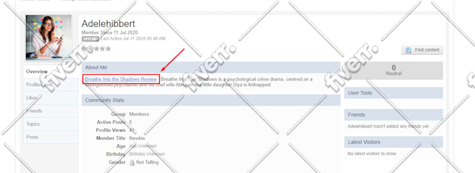 do SEO profile backlinks high quality
