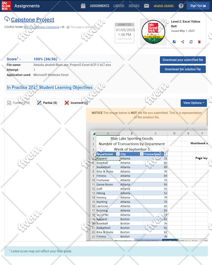fix excel errors, create dashboards, formulas and automate tasks