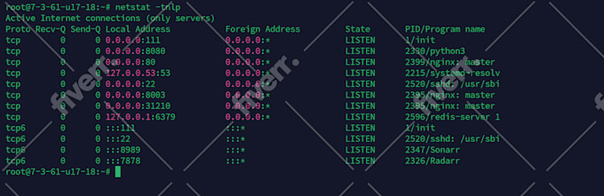 fix your linux vps, docker, or server issues fast