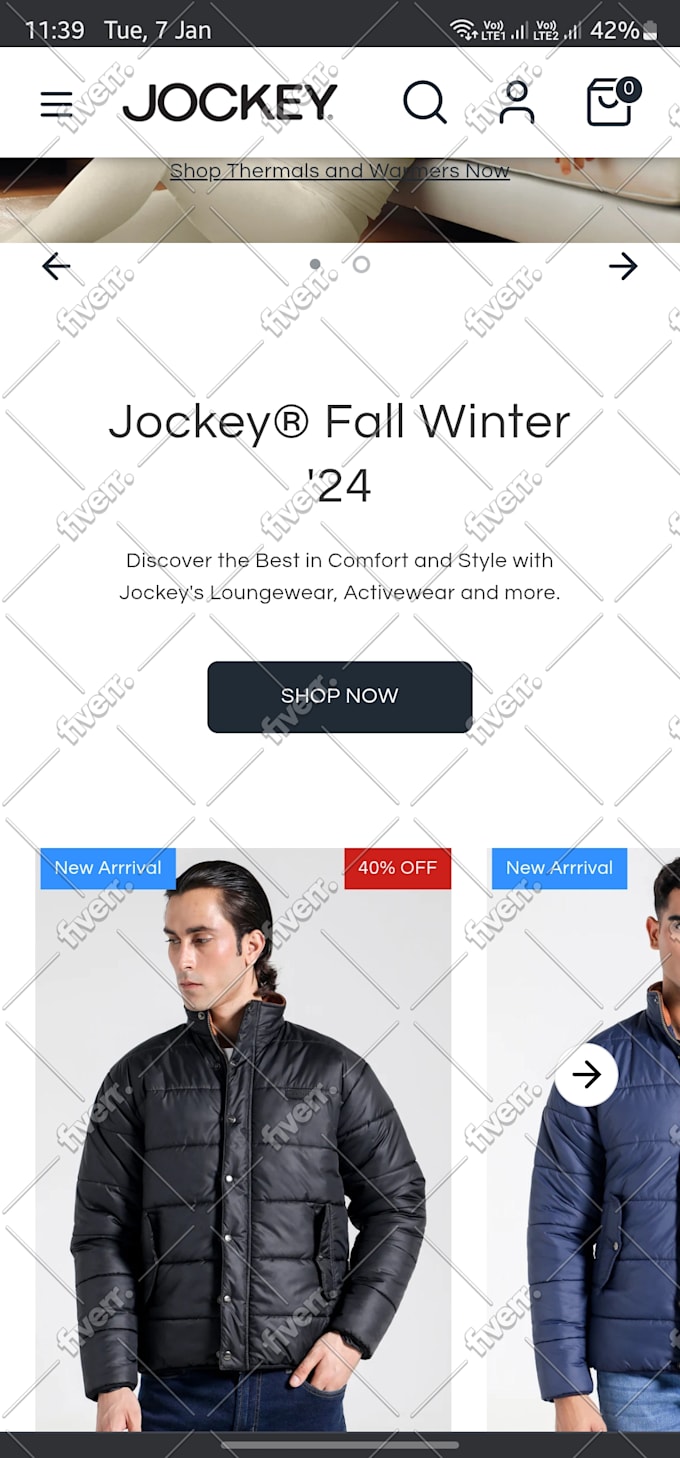 fix shopify bugs, liquid errors and do custom coding
