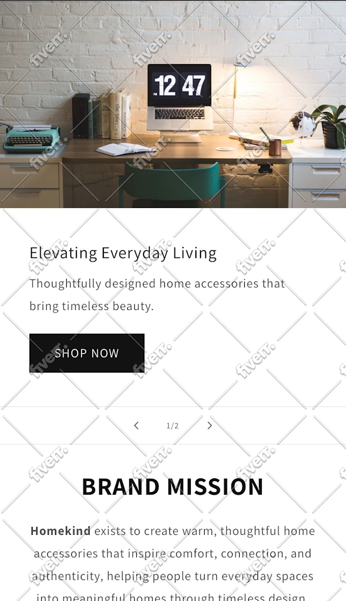 set up a branded highly profitable e commerce store, dropshipping shopify store