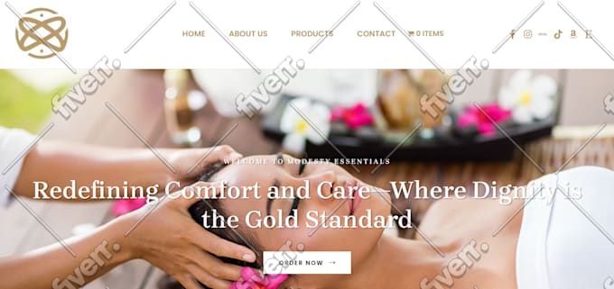 build a professional ecommerce website or online store