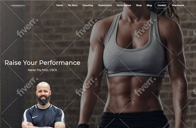 develop, design, fix,customize elementor pro wordpress website,theme,blog,plugin