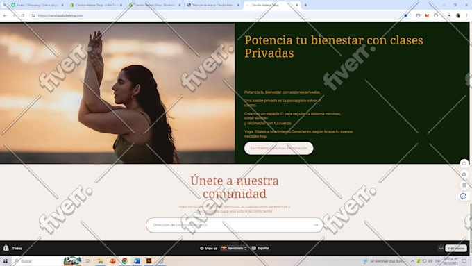 design or redesign your shopify website