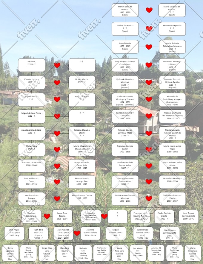 make your family tree