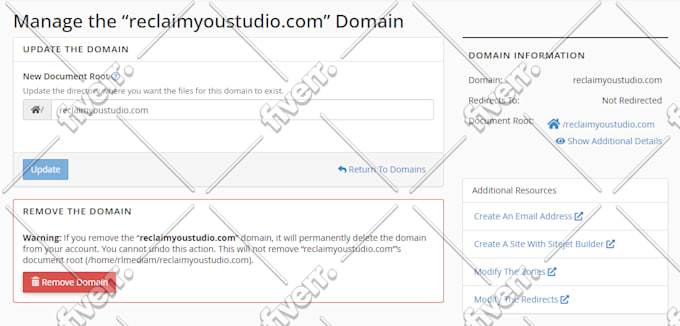 design or redesign wordpress website
