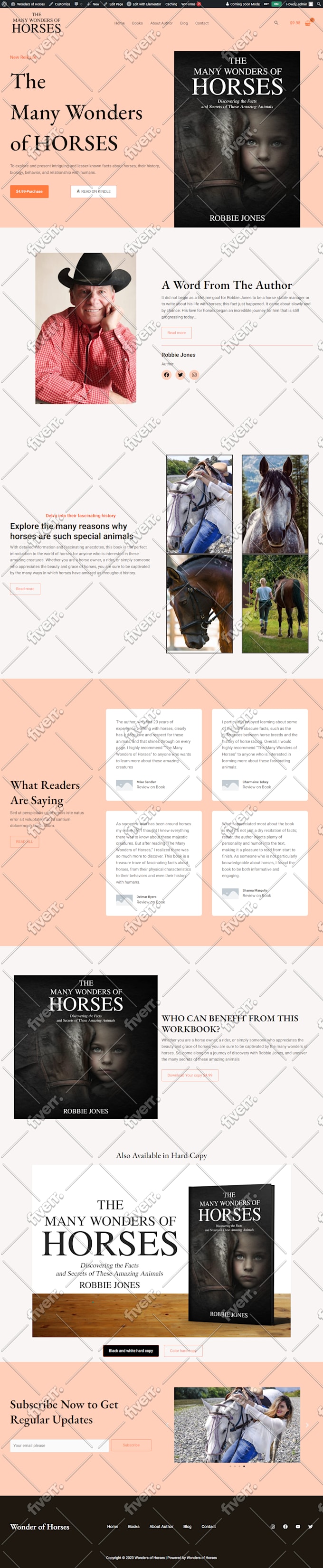design and redesign  modern responsive wp websites
