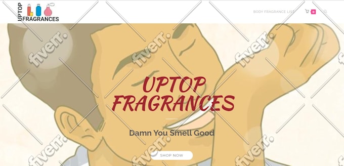 build an online store with woocommerce