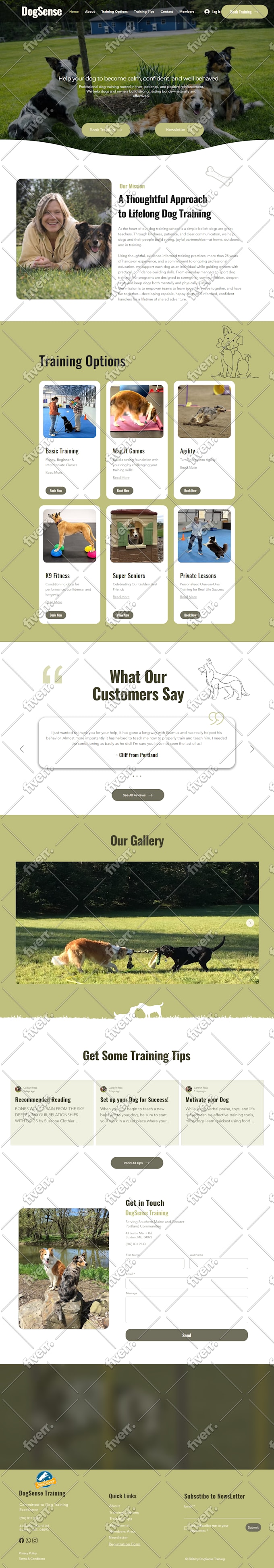 do wix and wix studio website design for your business
