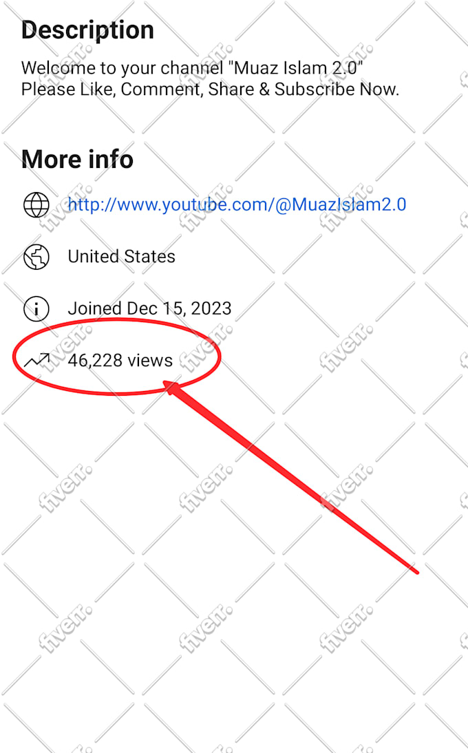 do youtube video promotion and monetization organically