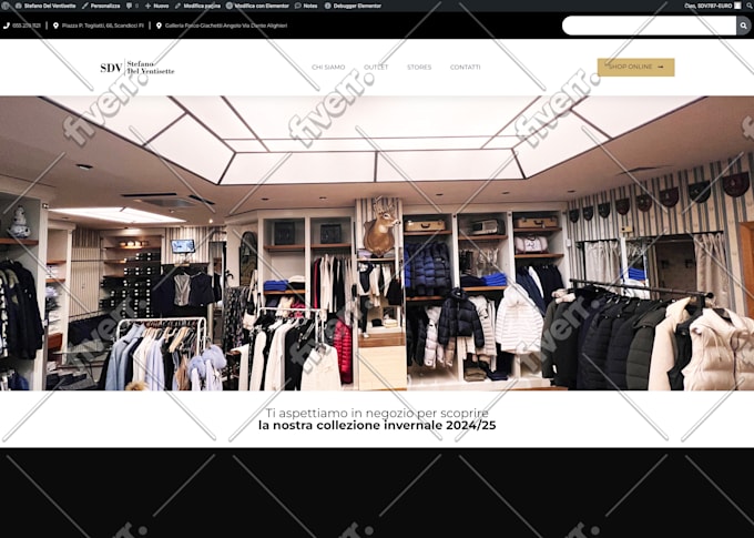 fix wordpress errors, elementor bugs and woocommerce issues