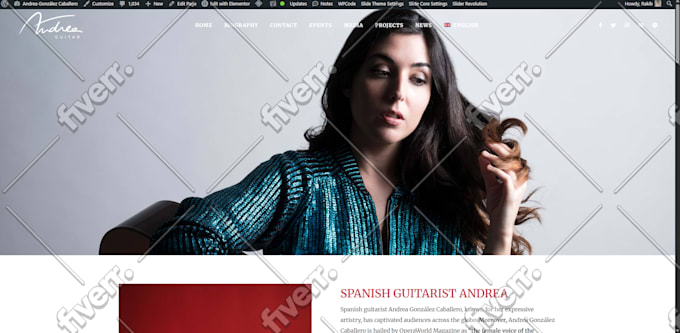 fix wordpress bug, issues, error problem, add function asap