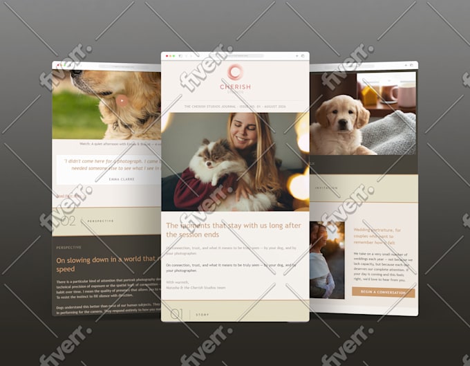 design a custom mailchimp email newsletter template for your brand