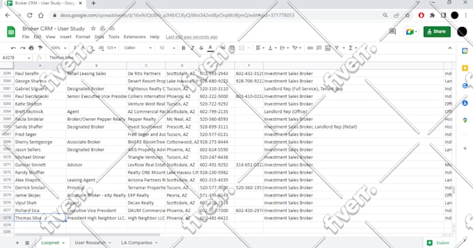 be your professional web scraper or do data scrape