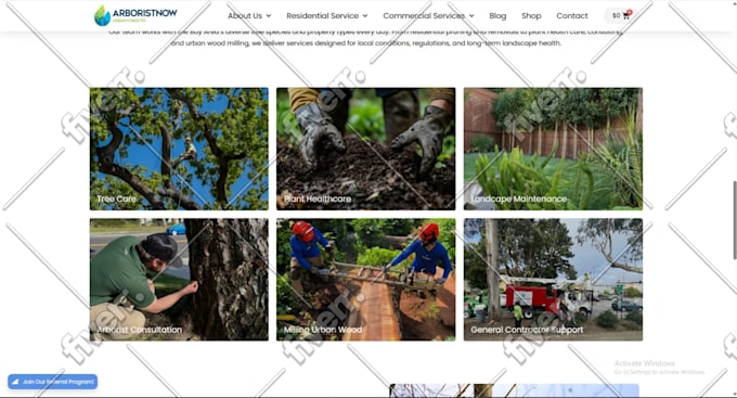 build wordpress website, design redesign wordpress website