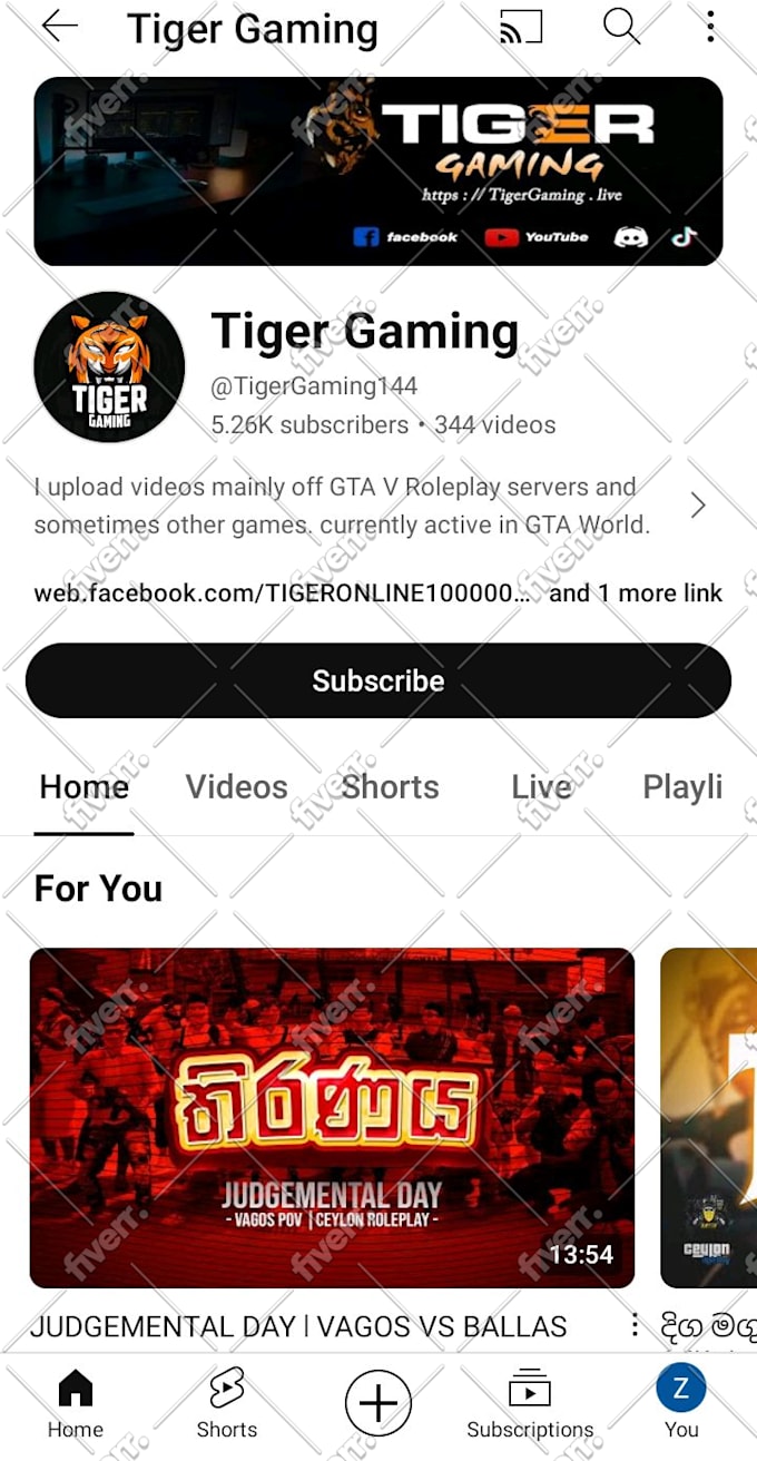 do video promotion for youtube channel monetization