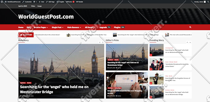 install wordpress and free themes or themeforest theme setup