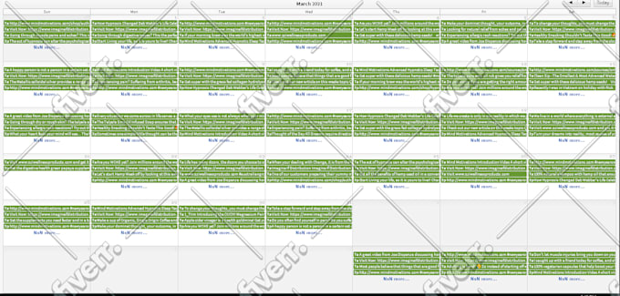 professionally manage hootsuite for you
