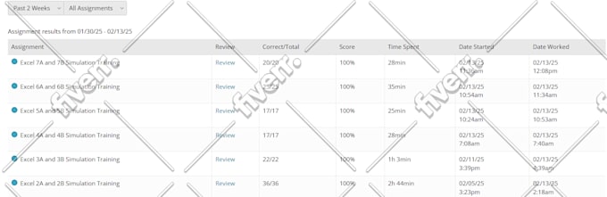 expertly do your excel tasks like data entry, cleaning, formula, lookup, match