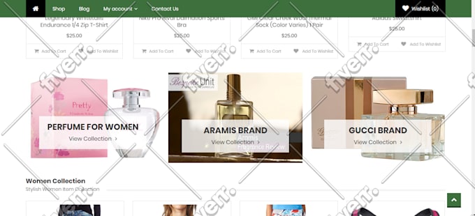 create an affordable wordpress website with premium support