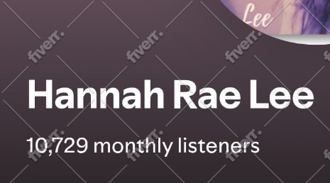 promote your spotify music professionally
