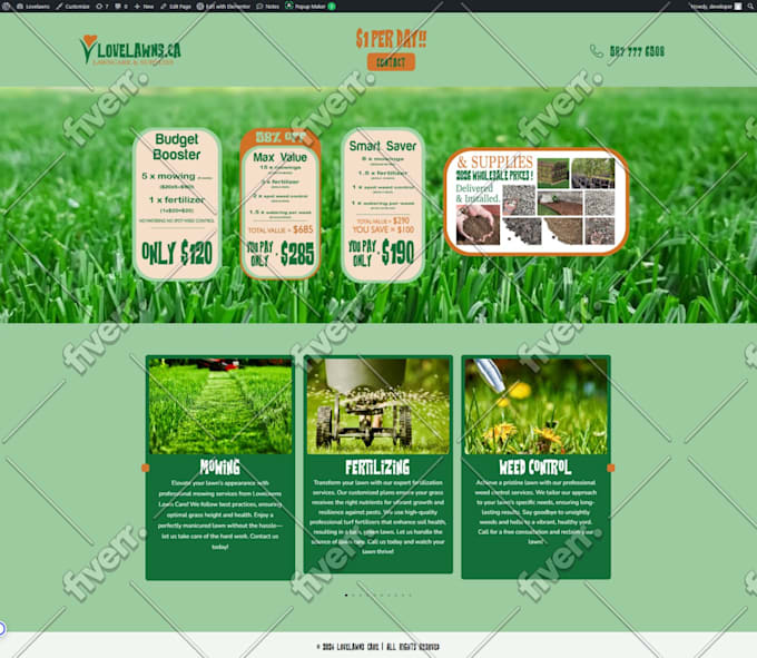 do wordpress website development, design or redesign wordpress blog