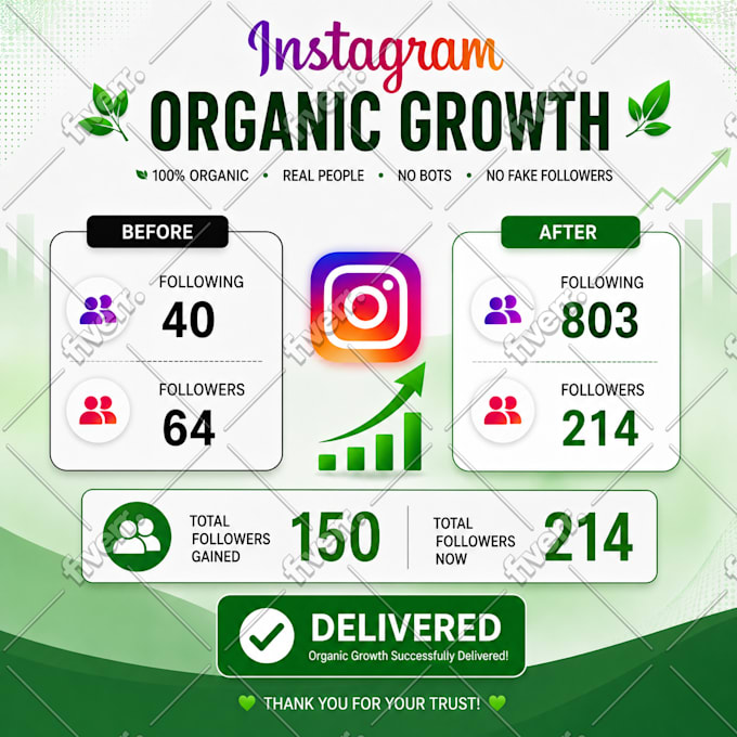 grow your instagram audience organically and strategically