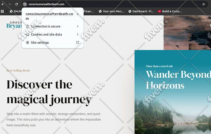 install any wordpress theme and fix wp issues