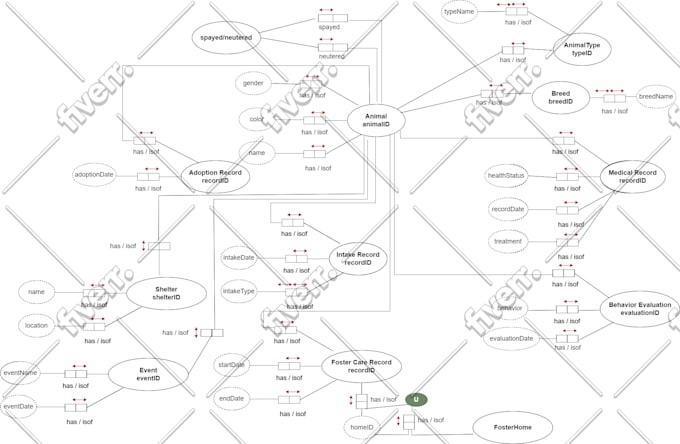 do uml diagrams, professional wordpress website, database project and ms access