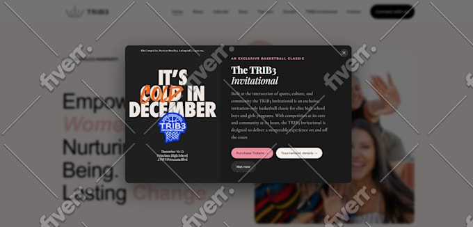 build squarespace website design, website development as a squarespace expert