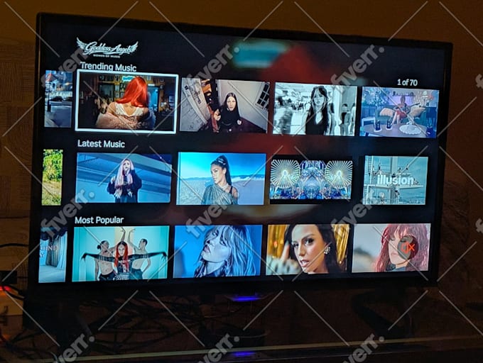 develop professional roku tv channel