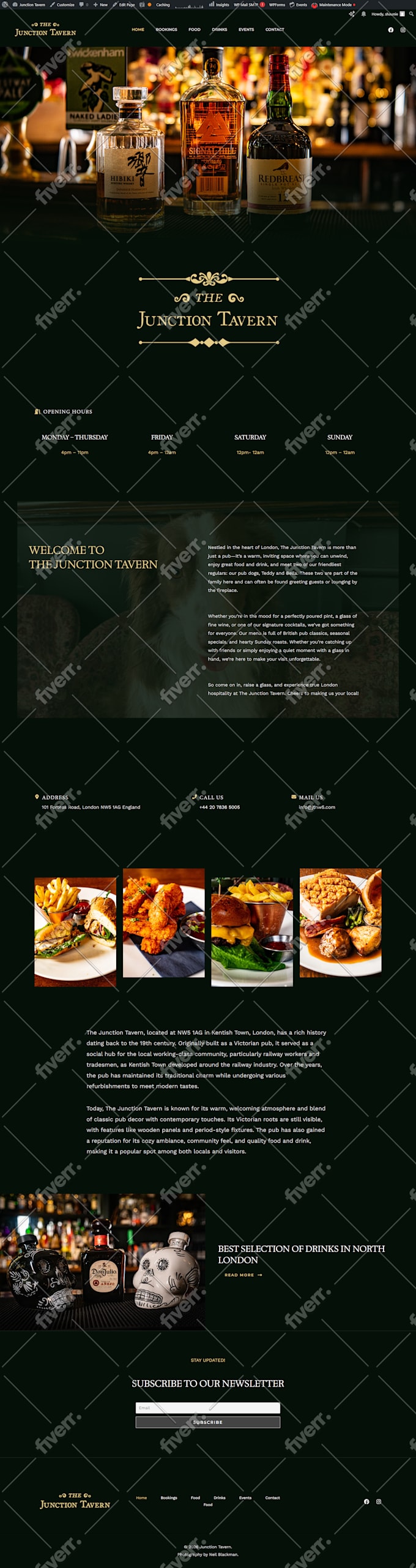 do professional wordpress website design and website development for businesses