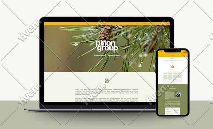 build squarespace website, squarespace design or development squarespace website